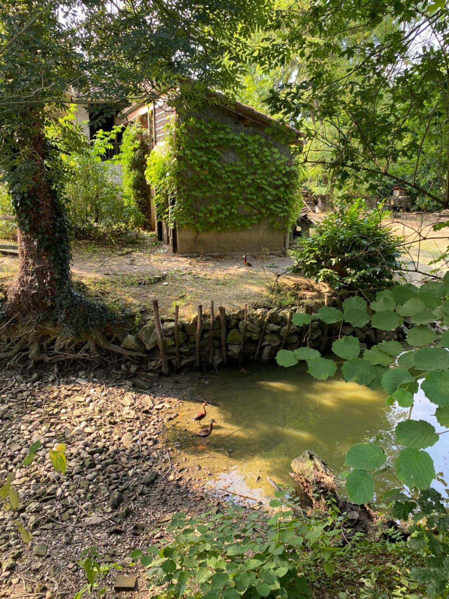 La Seigneurie De Tillac Bagian luar foto
