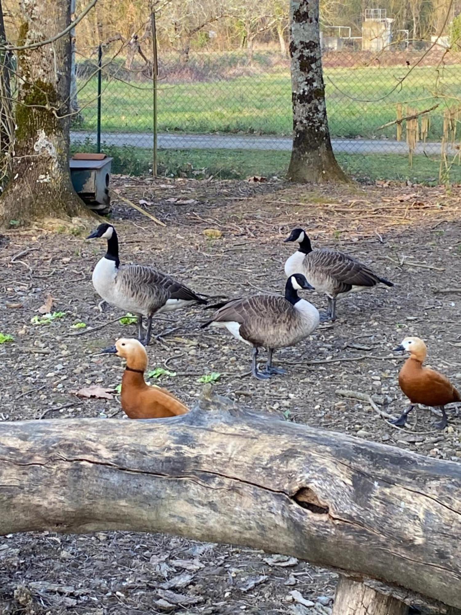 La Seigneurie De Tillac Bagian luar foto