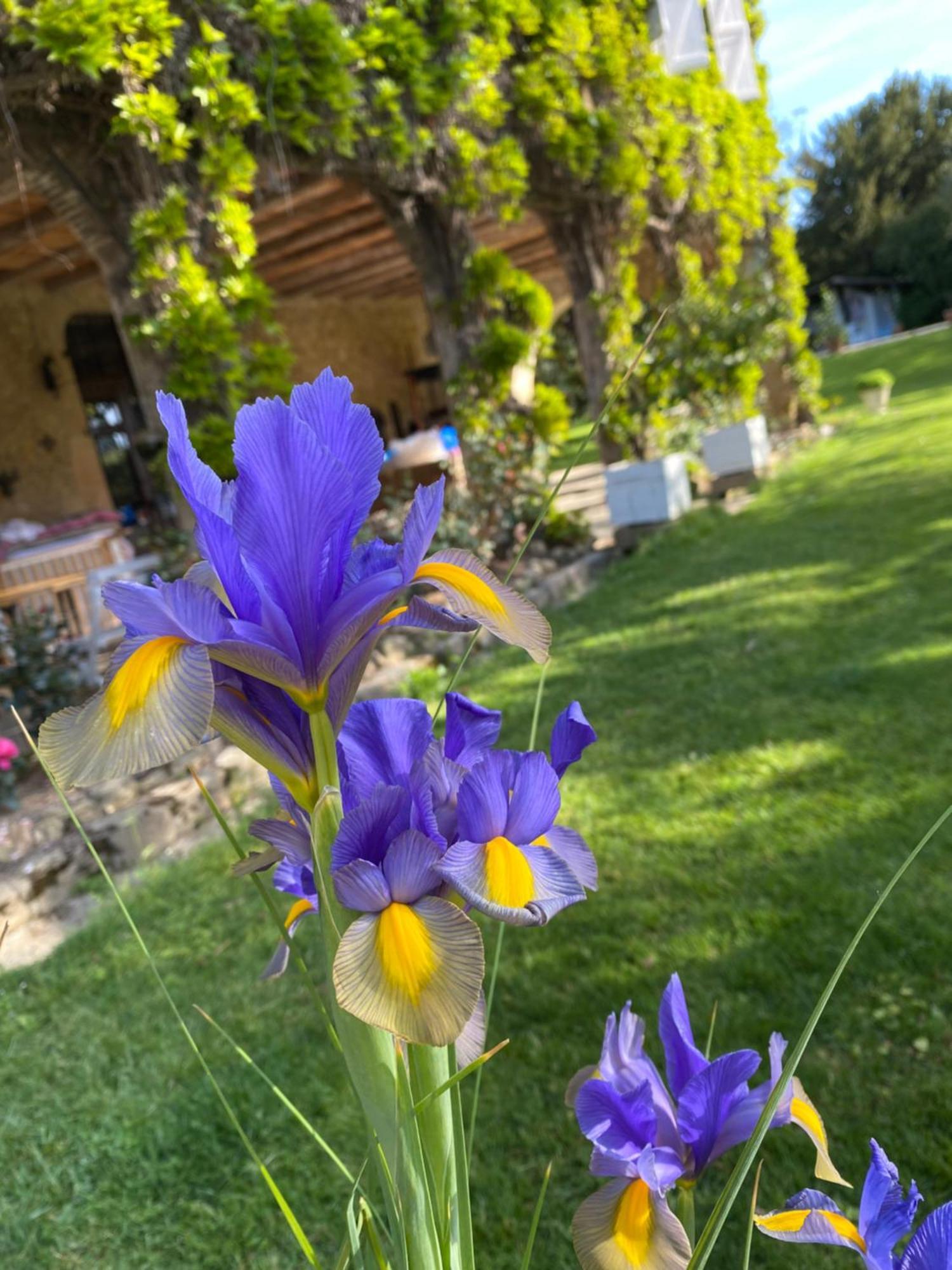 La Seigneurie De Tillac Bagian luar foto