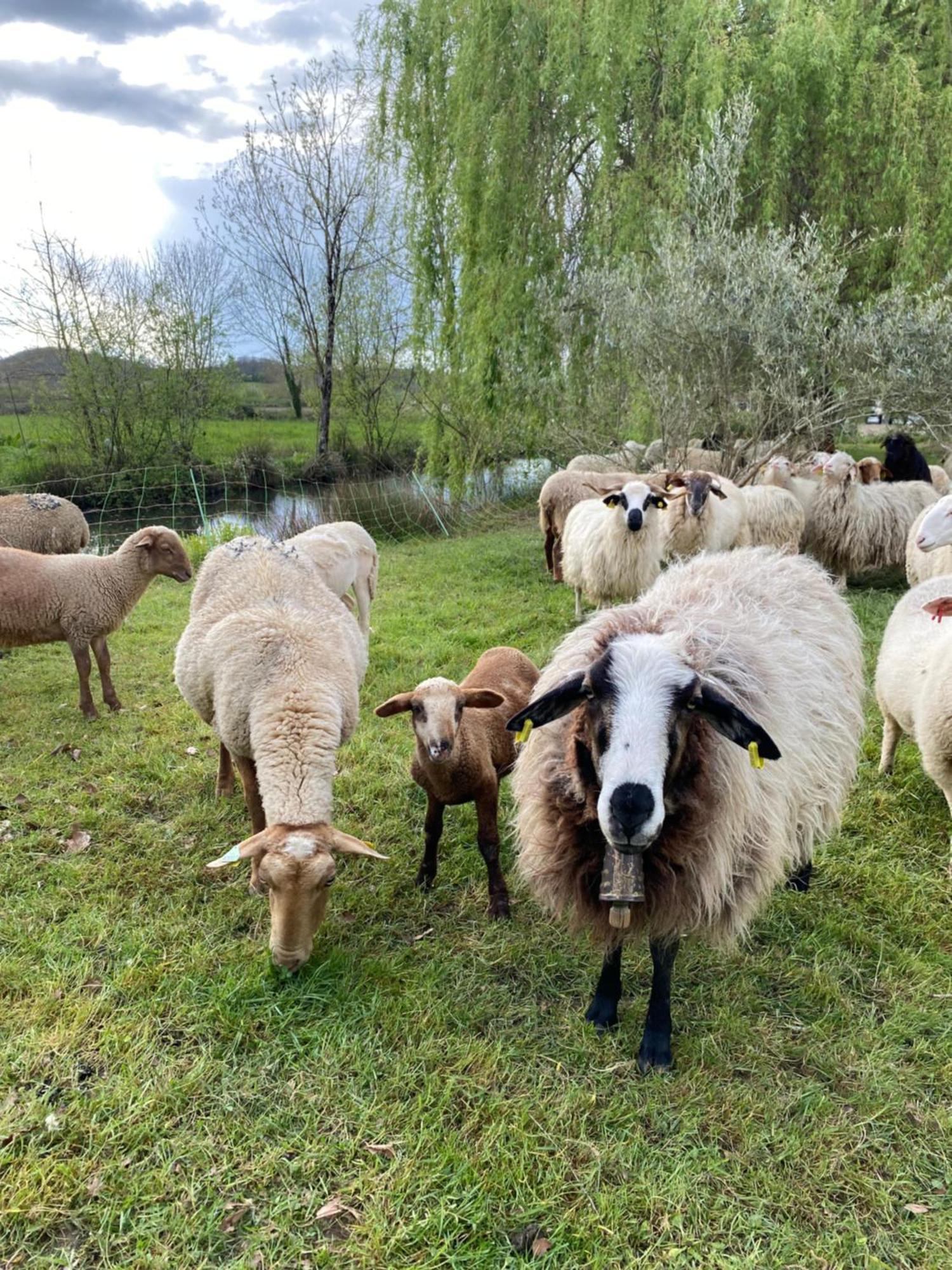 La Seigneurie De Tillac Bagian luar foto