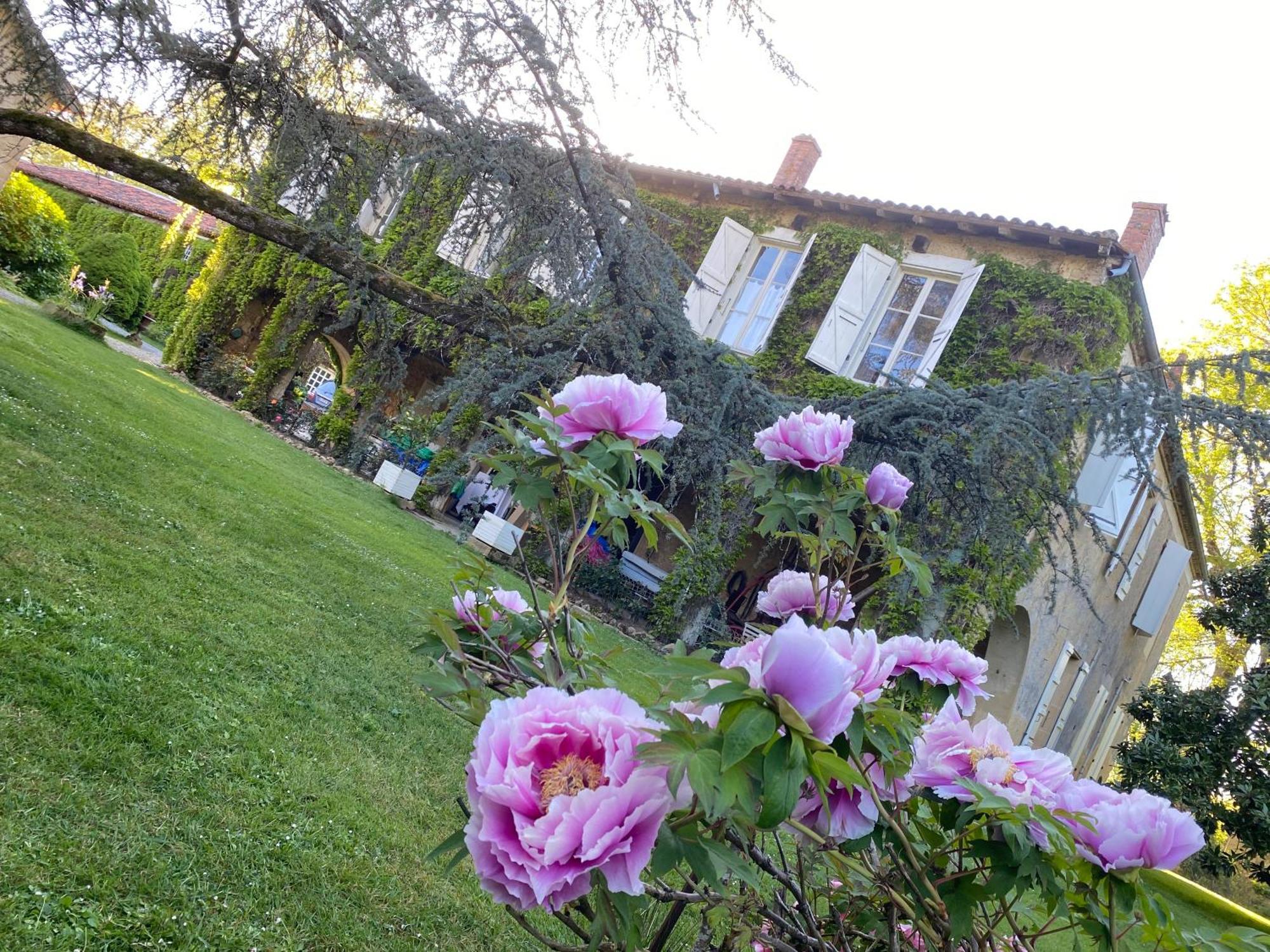 La Seigneurie De Tillac Bagian luar foto